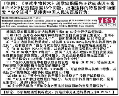 德国科学家揭先正达转基因玉米MIR162安全评估造假欺骗 转基因玉米的危害