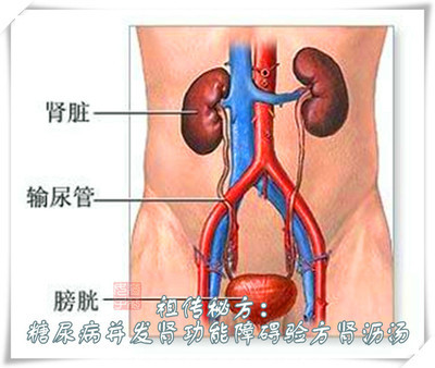 治肾功能衰竭秘方 秘方验方妙治疑难病