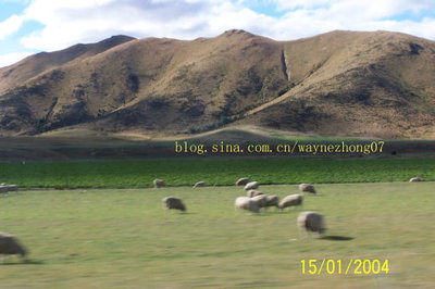 (视觉诗)10世界顶级牛奶产地(美丽的牧场背后.是(11 顶级跑马牧场电脑版