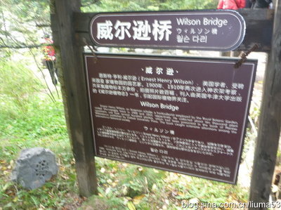 【原创】长江游(十六)神农架~中国特有的珍稀动物金丝猴 神农架板壁岩 原创