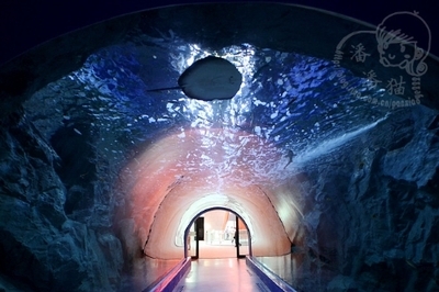 【韩国·全罗南道】韩国最大的水族馆--丽水世博会水族馆 韩国丽水世博会主题馆