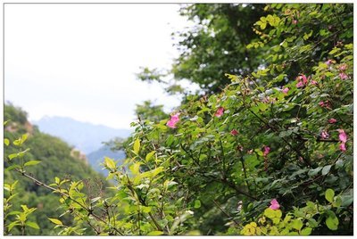 2013年端午节，阜平县云花溪谷----玫瑰坨 云花溪谷风景区路线