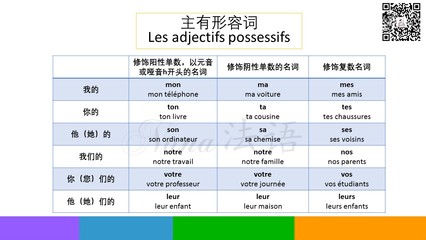 法语语法之形容词 法语形容词位置