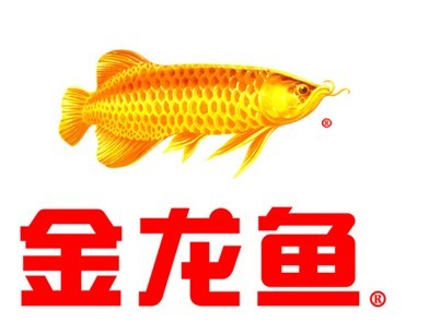 品牌学习点：关于金龙鱼品牌故事