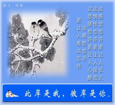 2011蓝色彼岸剧情介绍 第13集分集剧情 蓝色月光分集剧情