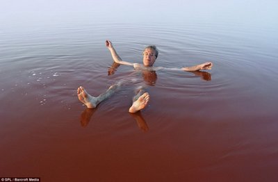 塞内加尔玫瑰湖湖水是粉红色的原因非洲死海玫瑰湖图片 塞内加尔快递