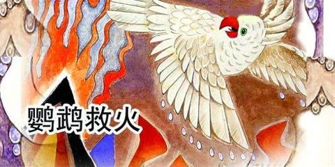 《旧杂譬喻经》（二十六）鹦鹉灭火喻 鹦鹉灭火