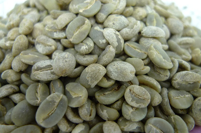 云南咖啡豆生豆价格(云南咖啡豆生豆报价)3月22-28报价|云南咖啡豆 云南咖啡豆风味