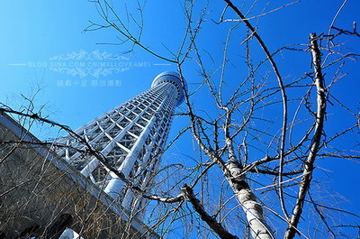 【日本·东京】晴空塔，漫步于450米空中仙境 东京晴空塔预约