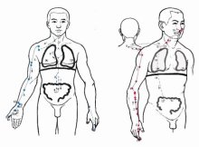 十二经脉、奇经八脉（经络运行图（有配音））转载 十二经络走向循环经脉