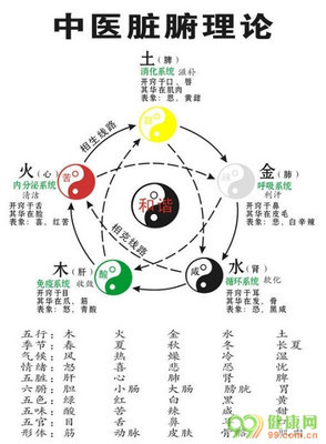 多成中医使用基础入门 中医基础入门书籍