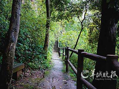 幸福就像毛毛雨 生命中的每一天