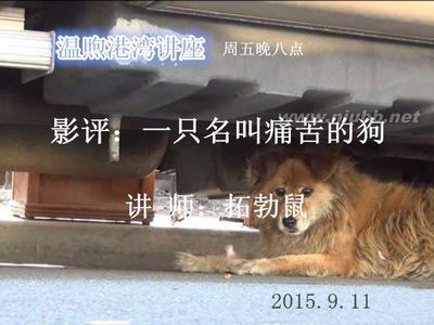 [鼠猫]不如归去之一——月满西楼21-31完结 鼠猫吧现代完结文