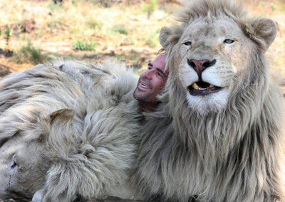 狮人:凯文·理查森与非洲狮亲密无间/组图