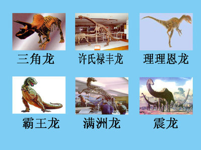 关于恐龙的资料（图片） 恐龙的资料以及图片