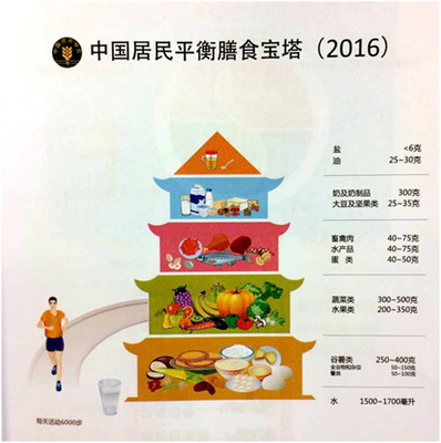 2015新版《中国居民膳食指南》 中国居民膳食指南2007