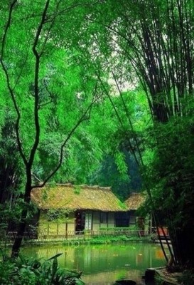 曲径通幽处，禅房花木深常建《题破山寺后禅院》审美赏析 曲径通幽的哲理