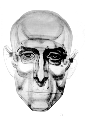 头部结构分析 人体头部结构素描