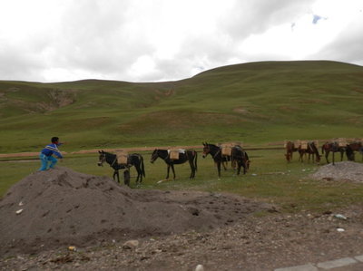 川藏之旅----奔向那曲（海拔4514米） 那曲县海拔
