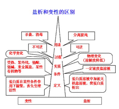 蛋白质的变性问题 蛋白质的盐析与变性