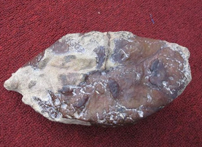 翡翠原石场口及皮壳的表现汇总图片 翡翠原石皮壳