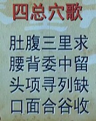 陈文伯小秘方大疗效：糖尿病、头疼、治妇科、解毒、口疮、牙痛、