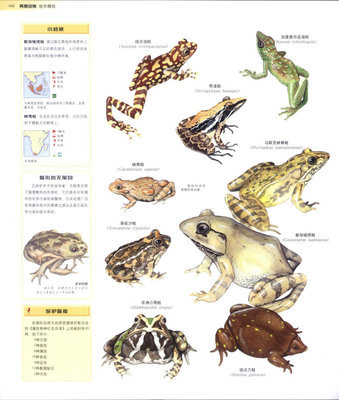 【资源共享】世界动物百科全书（内含下载） 动物百科全书