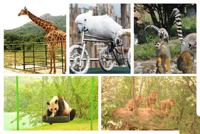 青岛森林野生动物园游记 上海野生动物园游记