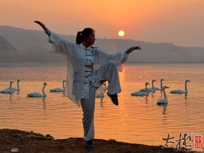 杨澄浦注《太极拳论》 太极拳论书法