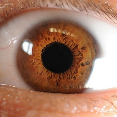 琥珀色的眼睛 琥珀色眼睛有什么好处