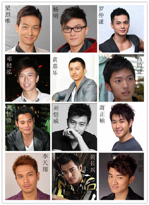 香港TVB男演员名单........ 香港tvb男演员 坏人