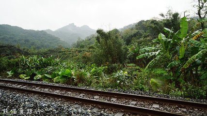 【台湾跨年】小火车摆动的旋律——台湾怀旧铁路.平溪线 平溪线