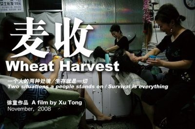 [7.18更新][国内纪录片]麦收WheatHarvest（VOB/3.2GB） 纪录片麦收完整版