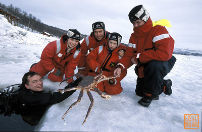 挪威的帝王蟹究竟有多大？ 1牛米究竟有多大的力