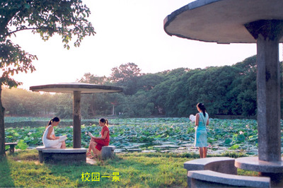 广西大学艺术学院院长帅民风博士序/矜持不苟好繁笔实景写生求真象 操作系统真象还原 pdf