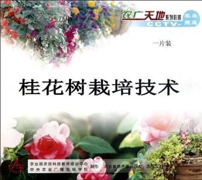 桂花树种植管理全集 桂花树什么季节种植