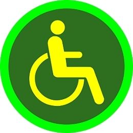 肢残人申领驾照（137）-李成说交通引起众人不满 肢残人活动日总结