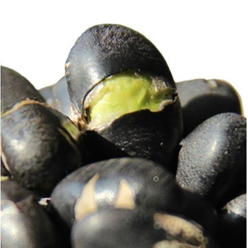 黑豆的简单吃法吃得简单健康又美味 黑豆促排卵的吃法