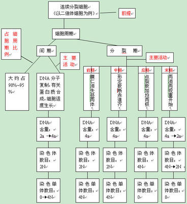 高中生物人教版核心概念——必修三 生物必修一概念图