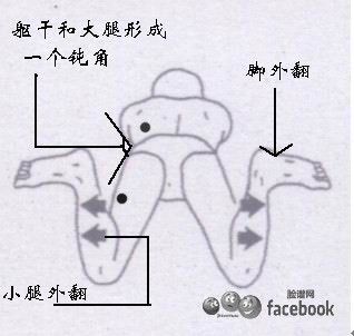 蛙泳运作要领及技巧 蛙泳腿部动作图解