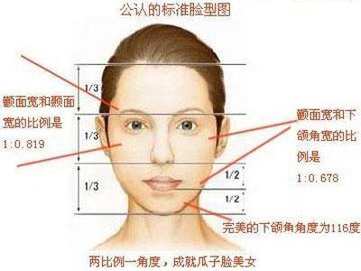 怎样测试自己的脸型 脸型分类图