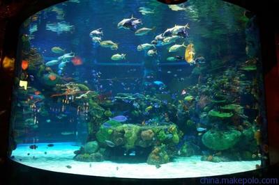 大型观赏鱼缸制作 圆柱形鱼缸造景图片