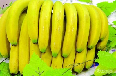 怎么判断芭蕉和香蕉 怎么分辨香蕉和芭蕉