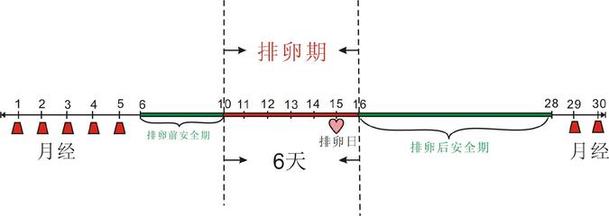 排卵日和排卵期的计算方法 排卵日怎么算最准确的