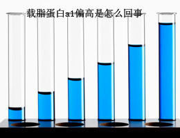 脂蛋白偏高是怎么回事 肌酸激酶高是怎么回事