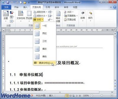 Word2010中怎样添加分栏之间的分割线 word2010添加分割线