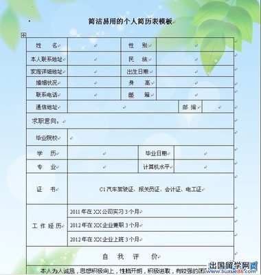 个人简历表格怎么做 如何用excel做简历表格