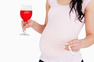 怀孕可以喝酒吗 怀孕初期症状