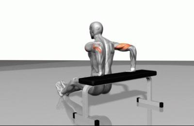 全套肱三头肌锻炼方法动作图解 如何锻炼肱三头肌
