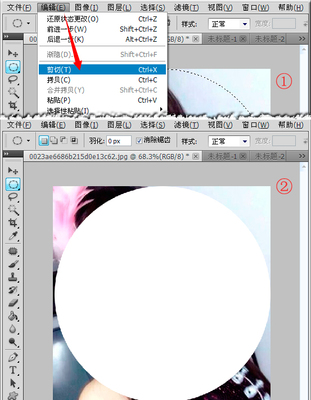 怎么把图片裁剪成圆形 怎样把图片裁剪成圆形